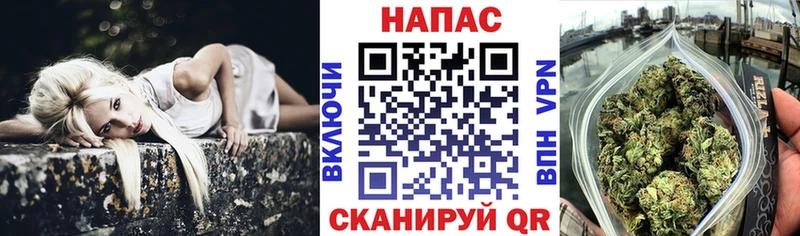 Канабис план  Купить  Гороховец 